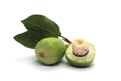 Certified Organic Kakadu Plum